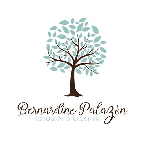 39. Estudio Fotográfico Bernardino Palazón 2